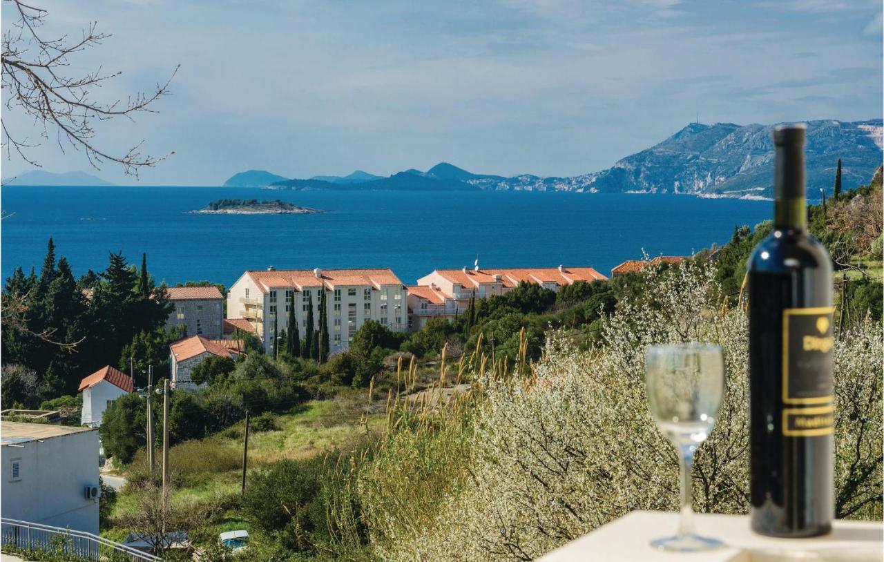 Nice Apartment In Cavtat With Wifi מראה חיצוני תמונה